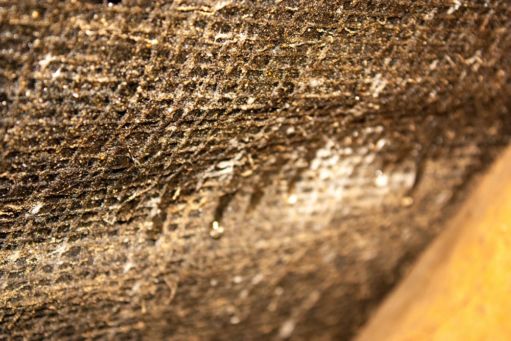 Damp,Within,A,Typical,Household,Attic,Is,A,Common,Problem