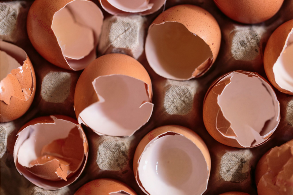 Eggshells ready to be dumped in a garbage disposal.